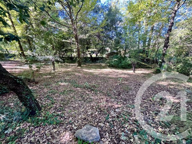 maison à vendre - 5 pièces - 176.0 m2 - ROQUEFORT LES PINS - 06 - PROVENCE-ALPES-COTE-D-AZUR - Century 21 Visa Immobilier