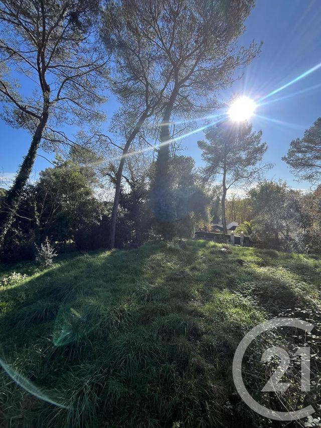 terrain à vendre - 1584.0 m2 - ROQUEFORT LES PINS - 06 - PROVENCE-ALPES-COTE-D-AZUR - Century 21 Visa Immobilier
