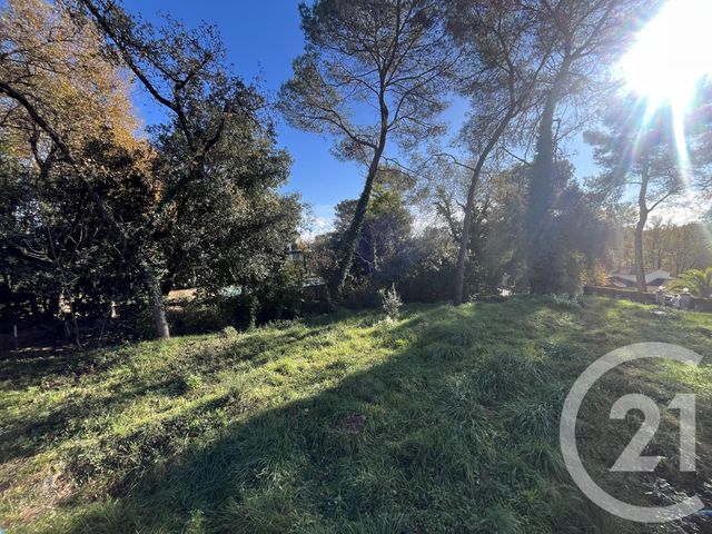 terrain à vendre - 1584.0 m2 - ROQUEFORT LES PINS - 06 - PROVENCE-ALPES-COTE-D-AZUR - Century 21 Visa Immobilier