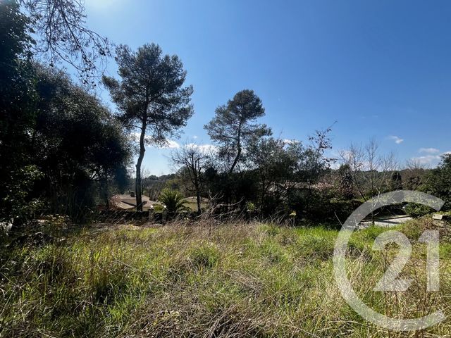 terrain - ROQUEFORT LES PINS - 06