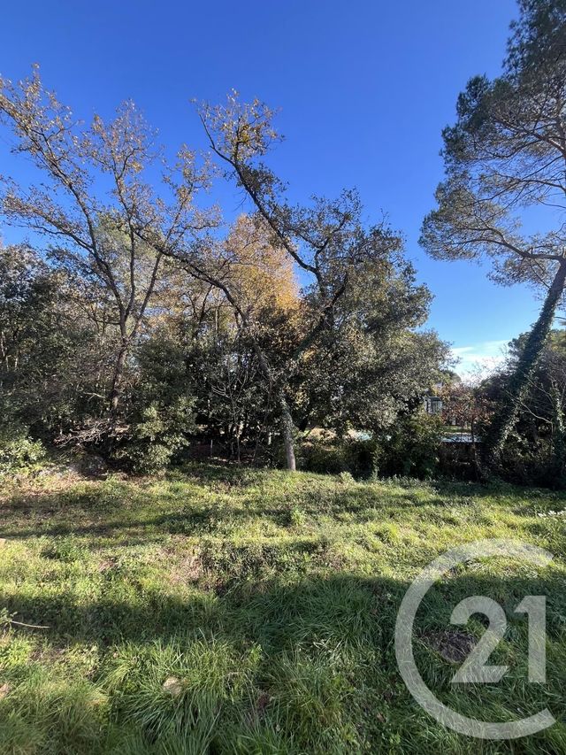 terrain à vendre - 1584.0 m2 - ROQUEFORT LES PINS - 06 - PROVENCE-ALPES-COTE-D-AZUR - Century 21 Visa Immobilier