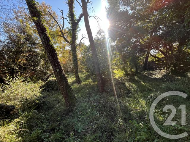 terrain à vendre - 1584.0 m2 - ROQUEFORT LES PINS - 06 - PROVENCE-ALPES-COTE-D-AZUR - Century 21 Visa Immobilier