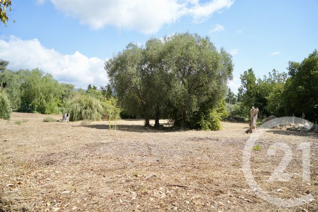 terrain à vendre - 2749.0 m2 - ROQUEFORT LES PINS - 06 - PROVENCE-ALPES-COTE-D-AZUR - Century 21 Visa Immobilier