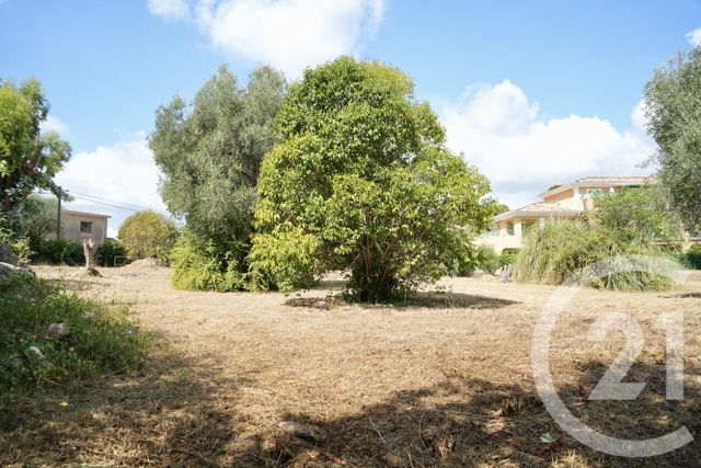 terrain à vendre - 2749.0 m2 - ROQUEFORT LES PINS - 06 - PROVENCE-ALPES-COTE-D-AZUR - Century 21 Visa Immobilier