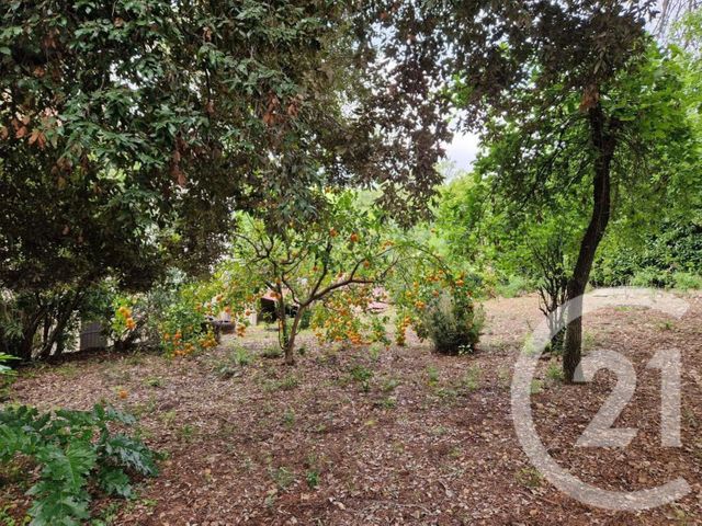 maison à vendre - 6 pièces - 138.89 m2 - ROQUEFORT LES PINS - 06 - PROVENCE-ALPES-COTE-D-AZUR - Century 21 Visa Immobilier