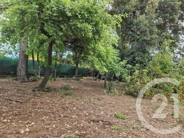 maison à vendre - 6 pièces - 138.89 m2 - ROQUEFORT LES PINS - 06 - PROVENCE-ALPES-COTE-D-AZUR - Century 21 Visa Immobilier