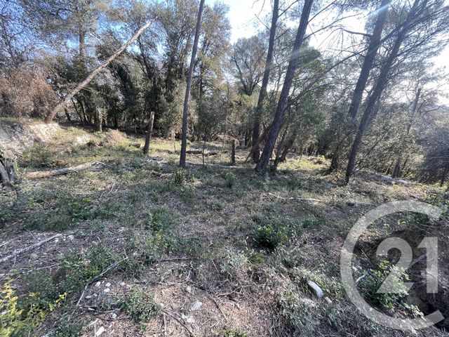 terrain à vendre - 2500.0 m2 - ROQUEFORT LES PINS - 06 - PROVENCE-ALPES-COTE-D-AZUR - Century 21 Visa Immobilier