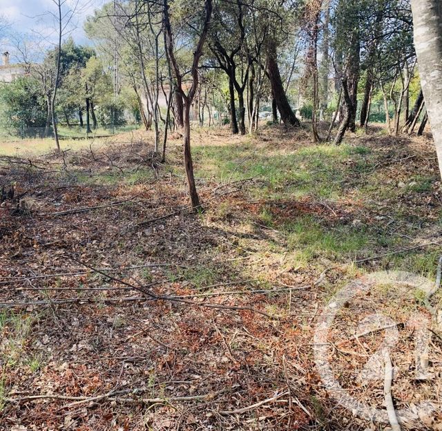 terrain à vendre - 1414.0 m2 - ROQUEFORT LES PINS - 06 - PROVENCE-ALPES-COTE-D-AZUR - Century 21 Visa Immobilier