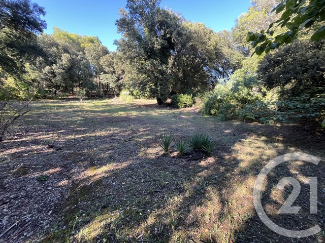 Afficher la photo en grand terrain à vendre - 1500.0 m2 - ROQUEFORT LES PINS - 06 - PROVENCE-ALPES-COTE-D-AZUR - Century 21 Visa Immobilier