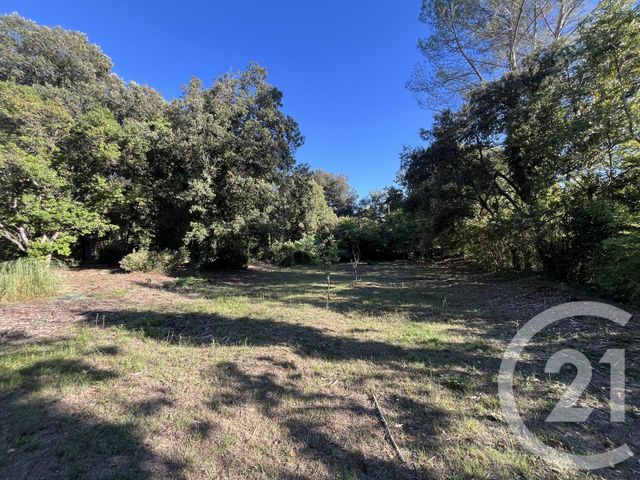 Afficher la photo en grand terrain à vendre - 1500.0 m2 - ROQUEFORT LES PINS - 06 - PROVENCE-ALPES-COTE-D-AZUR - Century 21 Visa Immobilier