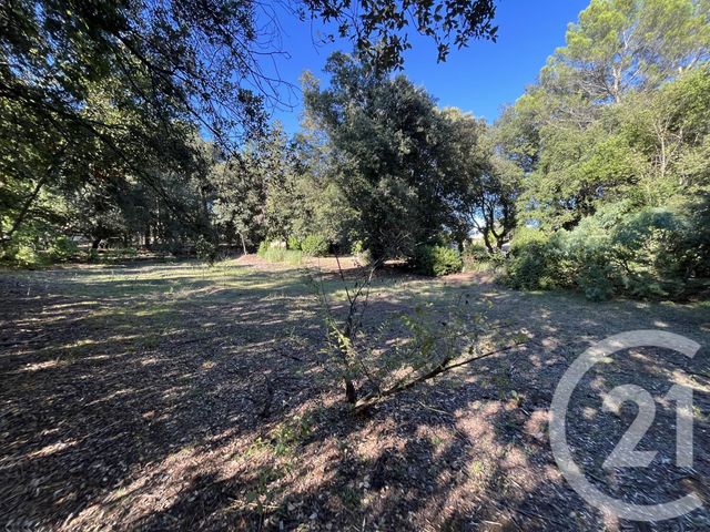 Afficher la photo en grand terrain à vendre - 1500.0 m2 - ROQUEFORT LES PINS - 06 - PROVENCE-ALPES-COTE-D-AZUR - Century 21 Visa Immobilier