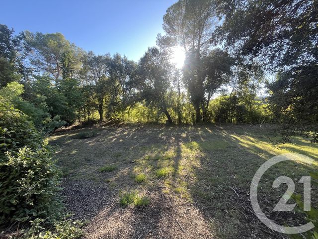 Afficher la photo en grand terrain à vendre - 1500.0 m2 - ROQUEFORT LES PINS - 06 - PROVENCE-ALPES-COTE-D-AZUR - Century 21 Visa Immobilier