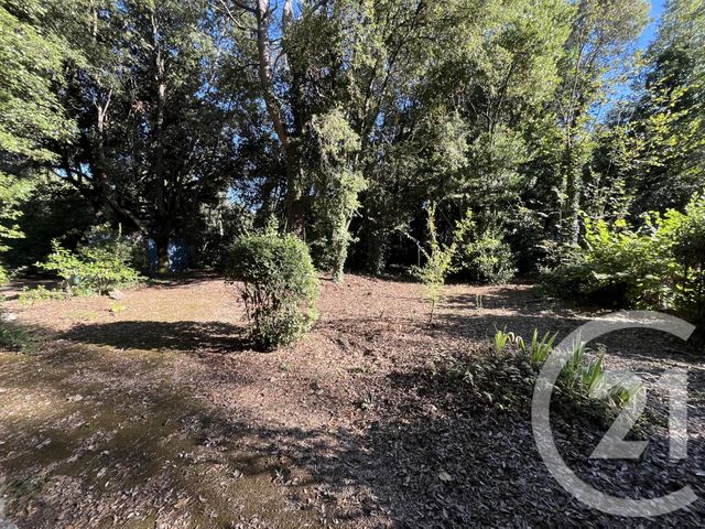 Afficher la photo en grand terrain à vendre - 1500.0 m2 - ROQUEFORT LES PINS - 06 - PROVENCE-ALPES-COTE-D-AZUR - Century 21 Visa Immobilier