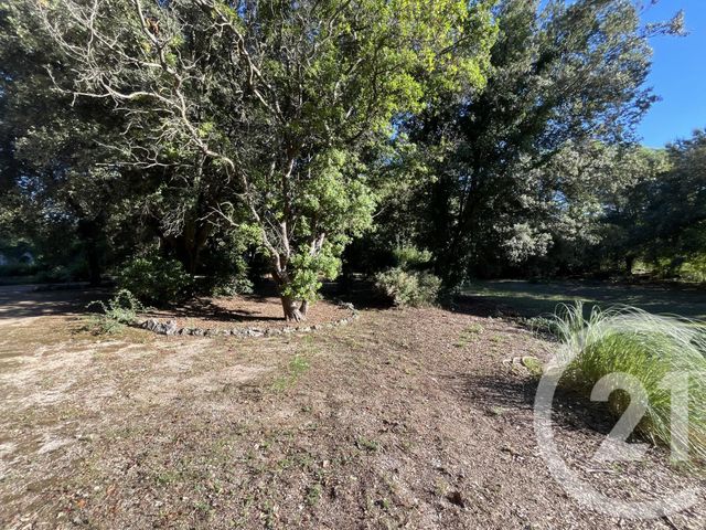 Afficher la photo en grand terrain à vendre - 1500.0 m2 - ROQUEFORT LES PINS - 06 - PROVENCE-ALPES-COTE-D-AZUR - Century 21 Visa Immobilier