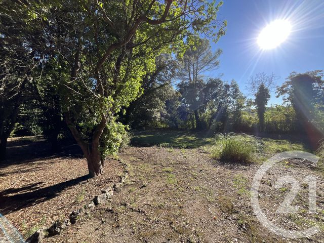 Afficher la photo en grand terrain à vendre - 1500.0 m2 - ROQUEFORT LES PINS - 06 - PROVENCE-ALPES-COTE-D-AZUR - Century 21 Visa Immobilier