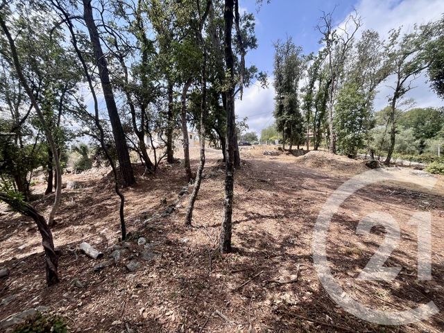 terrain à vendre - 2500.0 m2 - ROQUEFORT LES PINS - 06 - PROVENCE-ALPES-COTE-D-AZUR - Century 21 Visa Immobilier