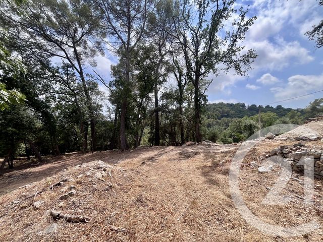 terrain à vendre - 2500.0 m2 - ROQUEFORT LES PINS - 06 - PROVENCE-ALPES-COTE-D-AZUR - Century 21 Visa Immobilier
