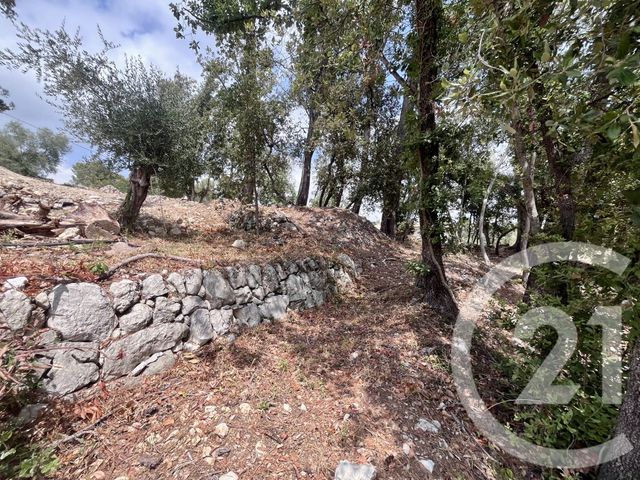 terrain à vendre - 2500.0 m2 - ROQUEFORT LES PINS - 06 - PROVENCE-ALPES-COTE-D-AZUR - Century 21 Visa Immobilier