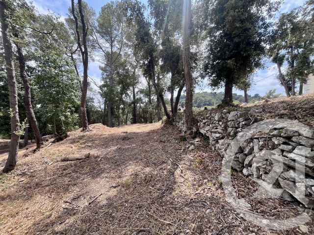 terrain à vendre - 2500.0 m2 - ROQUEFORT LES PINS - 06 - PROVENCE-ALPES-COTE-D-AZUR - Century 21 Visa Immobilier