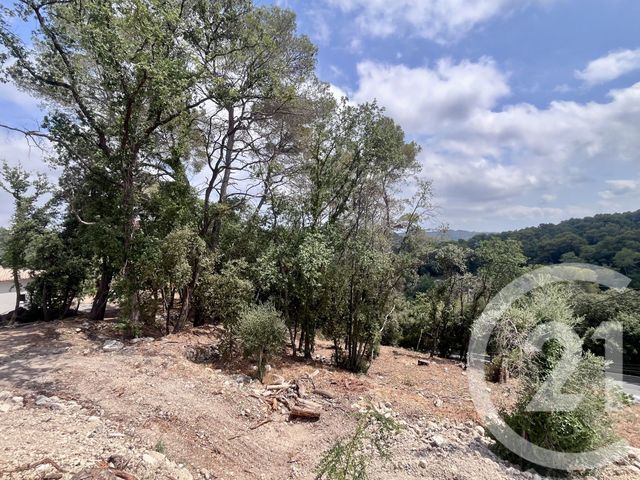 terrain à vendre - 2500.0 m2 - ROQUEFORT LES PINS - 06 - PROVENCE-ALPES-COTE-D-AZUR - Century 21 Visa Immobilier