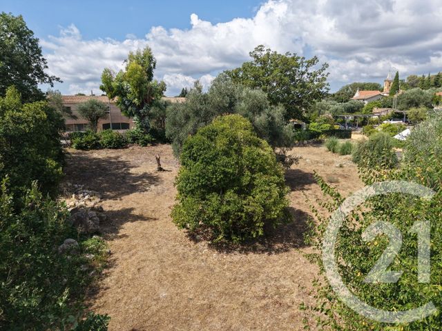 terrain - ROQUEFORT LES PINS - 06
