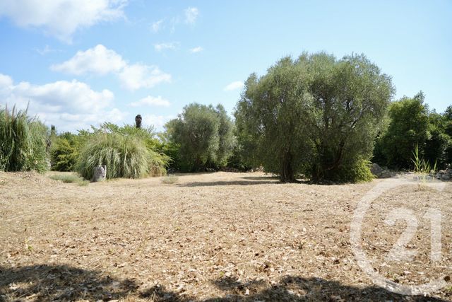 terrain à vendre - 2513.0 m2 - ROQUEFORT LES PINS - 06 - PROVENCE-ALPES-COTE-D-AZUR - Century 21 Visa Immobilier